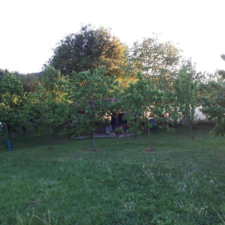 Gilău Casa Cionca 게스트하우스 외부 사진