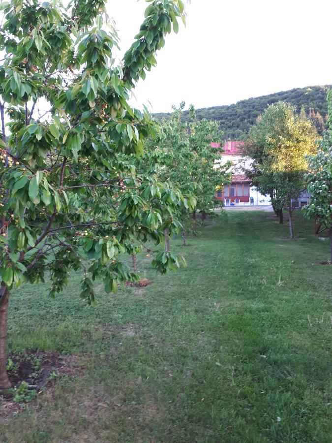 Gilău Casa Cionca 게스트하우스 외부 사진