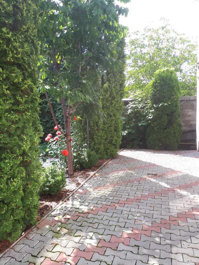 Gilău Casa Cionca 게스트하우스 외부 사진