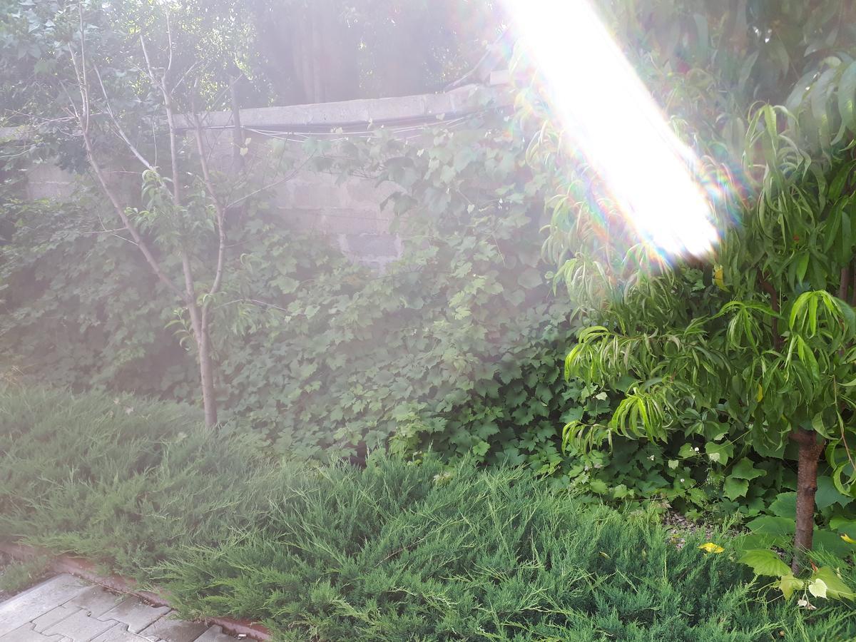 Gilău Casa Cionca 게스트하우스 외부 사진